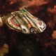 Illustration for article titled These New iDiscovery /iPrints Capture The Grandeur of iStar Trek/is Best Self